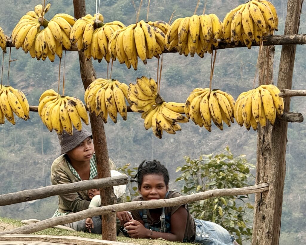 Madagaskar (za ljubitelje prirode, lemura i gekona te laganih i nešto zahtjevnijih trekkinga)