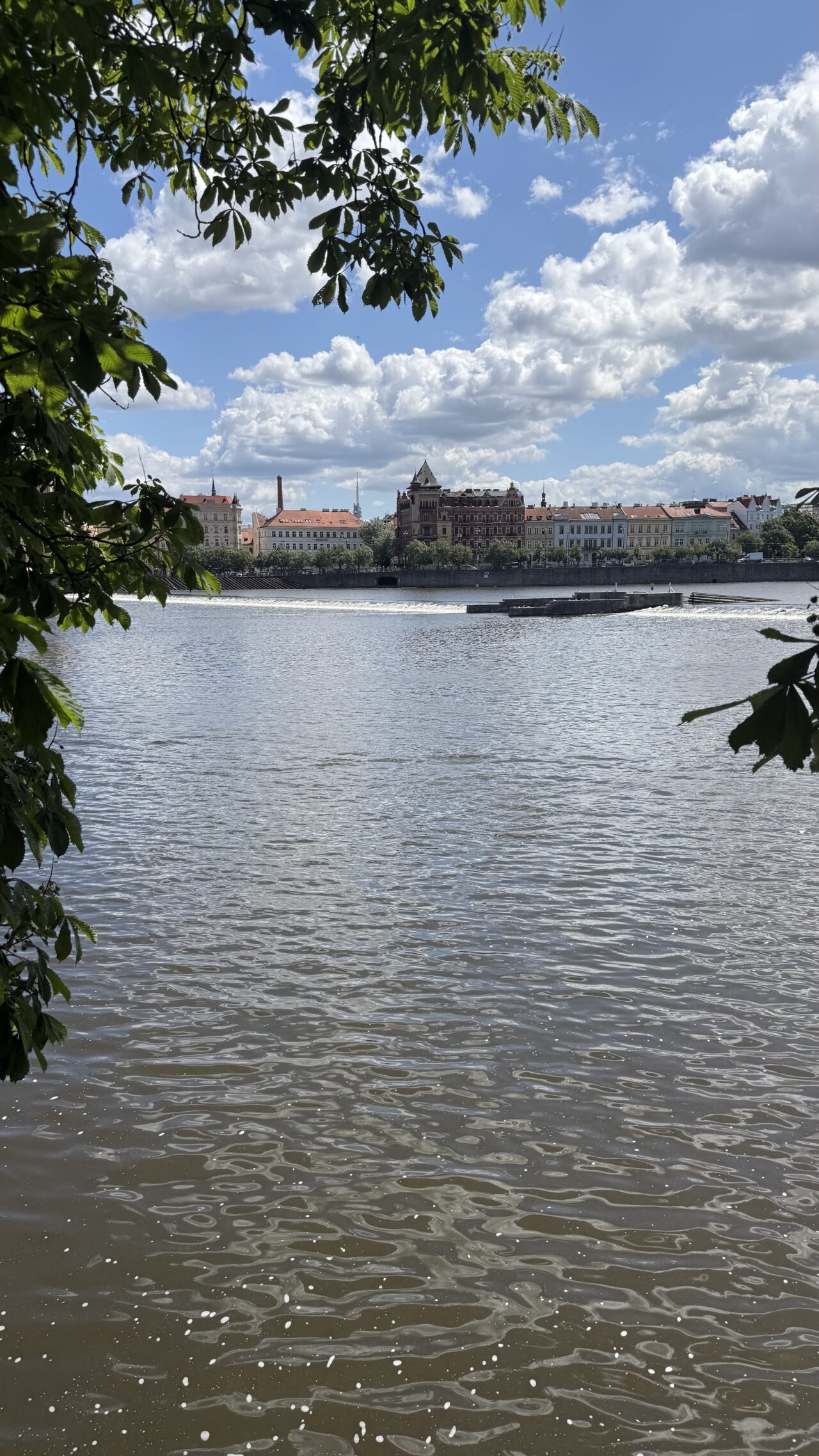Pogled na Vltavu u Pragu